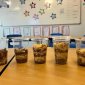 Year 3 Create Sedimentary Rocks Using Biscuits!
